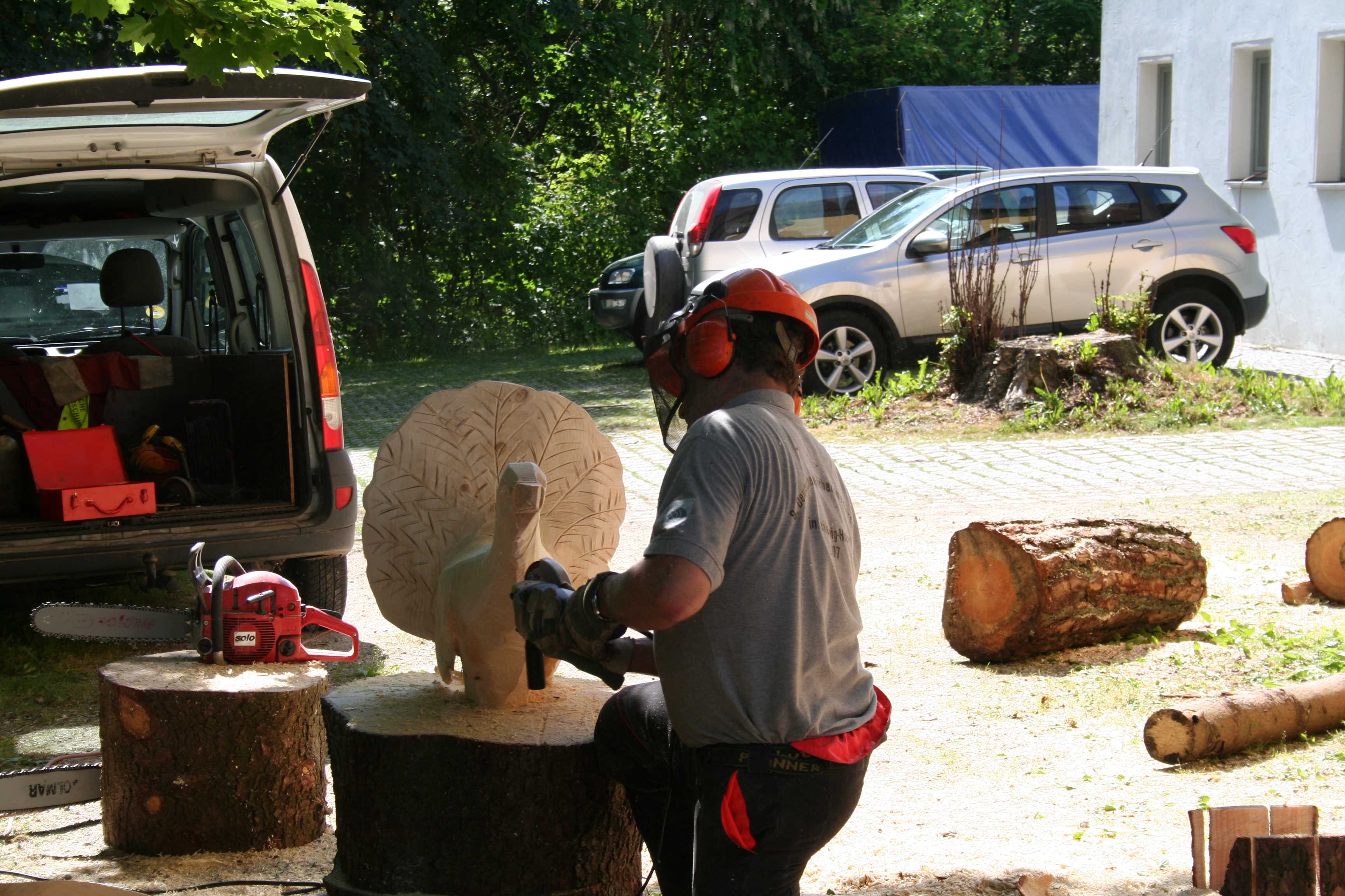 WBV - Holzkunstwerke mit der Motorsäge.jpg